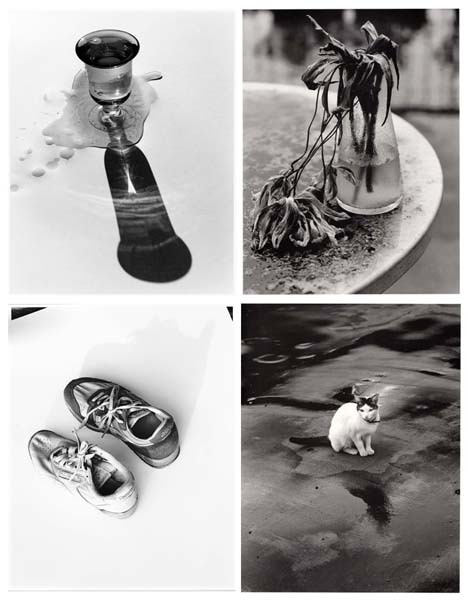 陽子が最後に生けてった百合の花 枯れて腐ったテーブルにこびりついちゃってる【天才アラーキー傘寿を語る】(日刊ゲンダイDIGITAL)