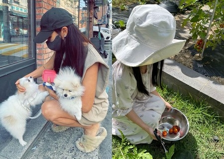 女優コ・ソヨン、娘ユンソルちゃんがミニトマトを収穫する近況公開(WoW!Korea)