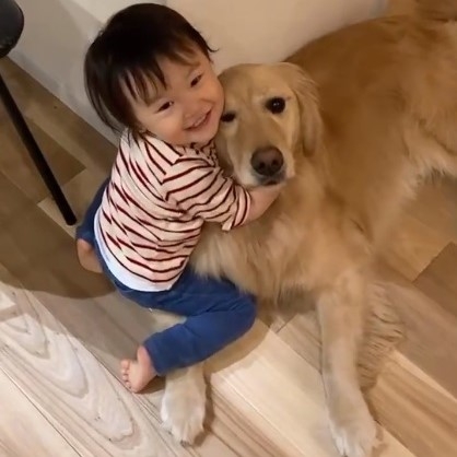 ハグが大好きな2才の女の子とゴールデンレトリバーの仲良し動画に300万再生「永遠に見てられる」(オリコン)