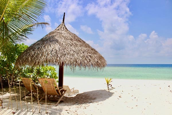 早貴被告は「前の奥さんは2億円を取ったんでしょ？」と【紀州のドン・ファンと元妻 最期の5カ月の真実】(日刊ゲンダイDIGITAL)