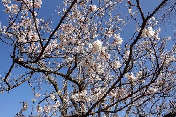 ドン・ファンは「いつでも別れてやるから」と吐き捨てた【紀州のドン・ファンと元妻 最期の5カ月の真実】(日刊ゲンダイDIGITAL)