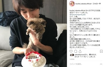 武田航平「ずっと一緒にいたい」　愛犬“きび”のバースデーを豪華ケーキでお祝い（ねとらぼ）