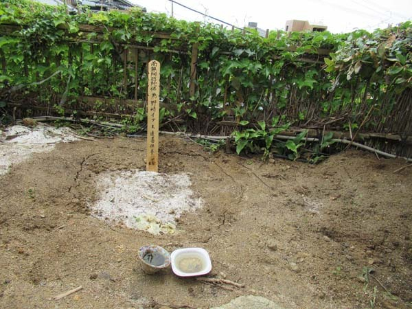 何度も復縁を申し込んだ前妻との間をつないだ愛犬イブ【紀州のドン・ファンと元妻 最期の5カ月の真実】(日刊ゲンダイDIGITAL)