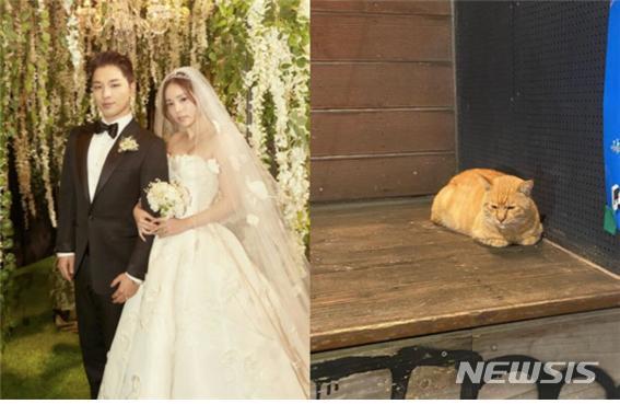 BIGBANGのSOL、おめでたのミン・ヒョリンと散歩？　クジャク→猫をシェア(朝鮮日報日本語版)