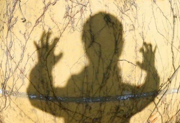 ＜小室ミステリー劇場＞謎の資金源に司法試験不合格の理由(メディアゴン)