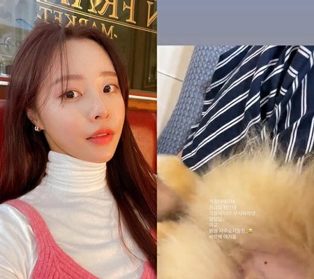 芸人パク・ソングァンの妻イ・ソリ、愛犬と救急病院へ… 「もう病院には行かないように、元気になろうね」(WoW!Korea)