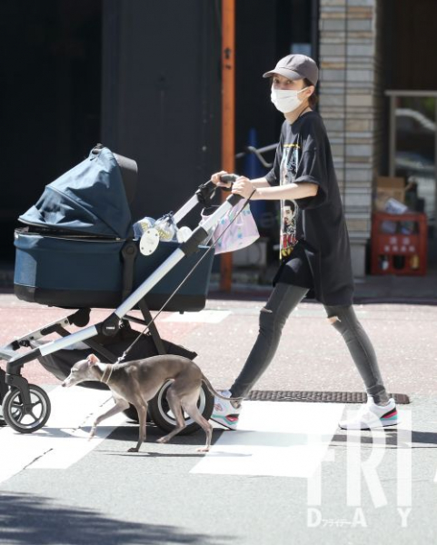 井上真央、ベッキー…有名人が「愛犬散歩」で見せた幸せ素顔(FRIDAY)