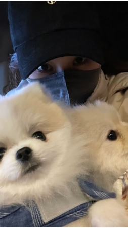 女優コ・ソヨン、夫チャン・ドンゴンと漢江を散歩…しっかり隠しても分かるトップスターのオーラ(WoW!Korea)