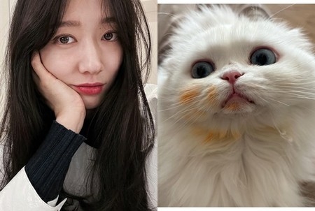 妊娠中の女優パク・シネ、ツナ缶泥棒に遭う…驚愕のエピソード公開(WoW!Korea)