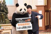 田中圭＆平野紫耀＆橋本環奈が登場！新川優愛は“ロケバス婚”の真実を語る「行列」（cinemacafe.net）