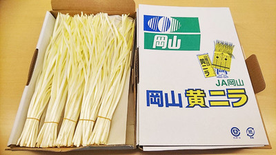 黄ニラ大使・植田輝義～黄ニラのみそ汁の美味しさに感動して生産者に（ニッポン放送）