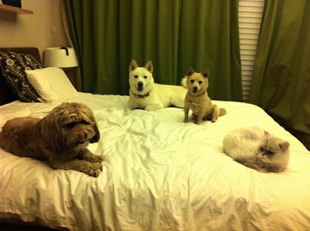 歌手イ・ヒョリの夫、歌手イ・サンスンが家族との思い出を公開…”スンシム（愛犬の名前）も一緒”(WoW!Korea)