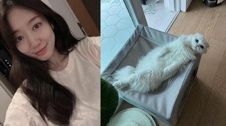 “プレママ”女優パク・シネ、愛猫との癒しのひとときを伝える…幸せな新婚生活に注目集まる(WoW!Korea)