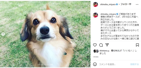 元「DA PUMP」宮良忍、愛犬が9歳で旅立つ　「ママの腕の中で天国へ」「最後をしっかり2人で見送れて良かった」(ねとらぼ)