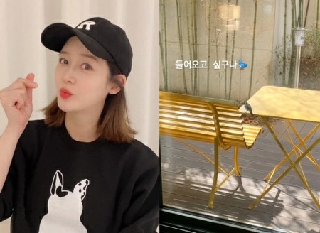 女優ソン・ユリ(Fin.K.L.)、庭先に現れた“お客様”の動画を公開…おしゃれなインテリアにも注目(WoW!Korea)