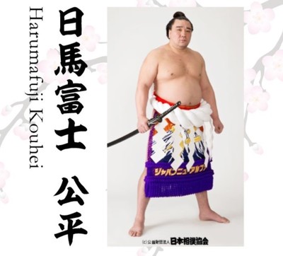 日馬富士長女「いじめ説」、勘違いでした　後援会長がテレビで発言撤回（J-CASTニュース）