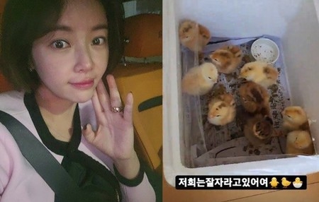 女優ファン・ジョンウム、ひよこ9匹の引っ越しプロジェクトを公開(WoW!Korea)