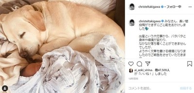 「毎日幸せを噛みしめています」　滝川クリステル、息子に愛犬・アリスが寄り添う“ほっこりショット”投稿し出産後の心境つづる（ねとらぼ）