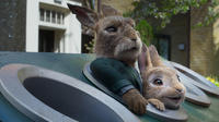 実写『ピーターラビット』続編5月公開＆予告編も　ピーターが“悪”に染まる？（cinemacafe.net）