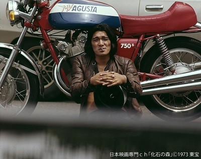 萩原健一さん出演作「雨のアムステルダム」「離婚しない女」「化石の森」5月に連続放送（映画.com）