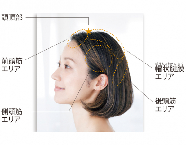 50代不調が見えてくる「頭皮コリ」マップでチェック！(Web eclat)
