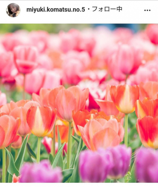 ４９歳で妊娠の小松みゆき、祝福に感謝「パートナーがまだ４１歳」公表の理由も明かす（スポーツ報知）