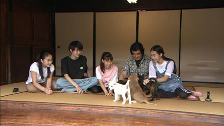 藤岡ファミリーが「志村どうぶつ園」後継番組に出演　親子５人で日本犬育てる（サンケイスポーツ）