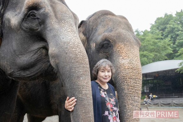 「ぞうの楽園を作りたい」元トップモデル、悲しい死を乗り越えてつくった“リアル版どうぶつの森”(週刊女性PRIME)