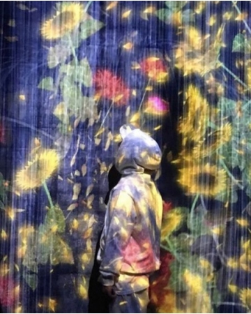 SOL（BIGBANG）、妻ミン・ヒョリンとデート？＝ヒマワリに染まる写真を公開(WoW!Korea)