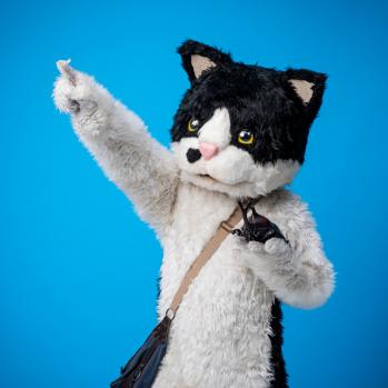 むぎ(猫)、スカ楽曲「夏の絵日記」を配信リリース&リリックビデオ公開(BARKS)