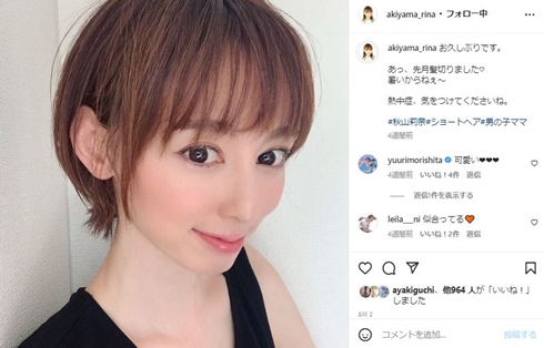 「仮面ライダーアギト」ヒロイン・秋山莉奈、第3子を出産 「子供3人と一緒の生活は、とっても賑やか」(ねとらぼ)