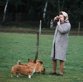 「コーギー犬」とともに生涯を過ごしたエリザベス女王。飼っていた2匹は次男アンドルー王子が引き取ることに(Harper’s BAZAAR（ハーパーズ バザー）)