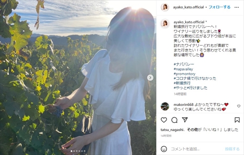 休業中の加藤綾子、1年越しの新婚旅行で幸せショット　ブドウ畑でワインを楽しむ姿に「お元気そうでよかった」(ねとらぼ)