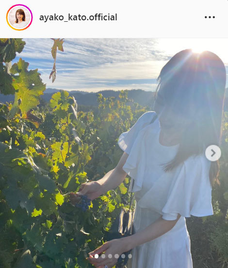 加藤綾子「新婚旅行でナパバレーへ！訪れたワイナリーどれもが素敵」＃やっと　＃行けました(日刊スポーツ)