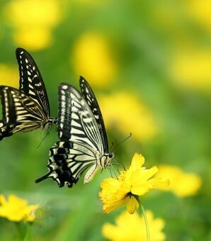 マザコン「冬彦さん」はどうやって生まれたのか…佐野史郎が明かす誕生秘話に“くわばたりえ”も驚愕！(現代ビジネス)