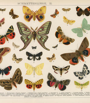 冬彦さんとのラストシーン…『ずっとあなたが好きだった』最終回の撮影で、賀来千香子が「涙を流した理由」(現代ビジネス)