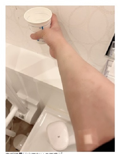 「昔の自分と全然違う」　約30キロ減の華原朋美、原因不明の“疲れ”に悩み　痩せた当時の衣服着こなすも「まったくまいったぜ」(ねとらぼ)