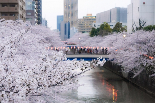 【現役高校性が選ぶ】春の定番ソングランキング！　第2位は「3月9日（レミオロメン）」、1位は？(ねとらぼ)
