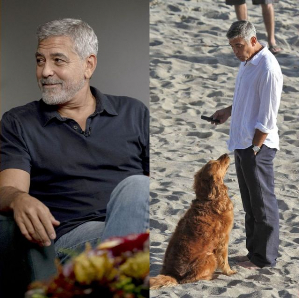 妻アマルとの出会いが分岐点？ セクシーなイケオジ、ジョージ・クルーニーがカッコいいわけ(25ans（ヴァンサンカン）)