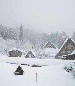 「母が70歳になると長男は裏山へ捨てに行かねばならない」…日本の「姥捨て山」をリアルに描き、カンヌでパルム・ドールを獲得した映画『楢山節考』秘話(現代ビジネス)