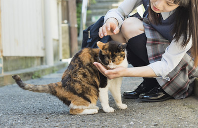 ガッキー、生きたコオロギを餌に…一風変わった人気芸能人たちのペット（dmenu映画）