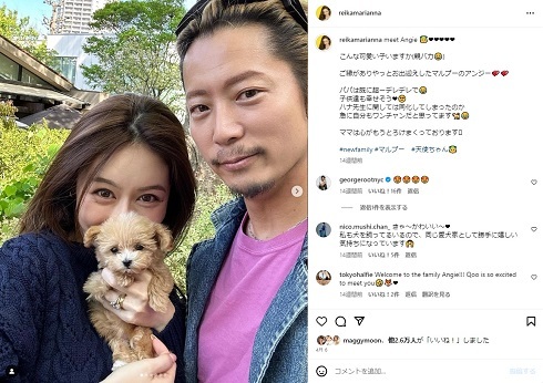 宮崎麗果、子どもの出産巡り「日本の文化」に首ひねる　“おかしい”と指摘され「言われること自体がストレス」(ねとらぼ)