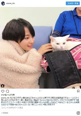 広瀬すず、『anone』共演のネコとのツーショットに「どっちも癒しやぁ」（クランクイン！）