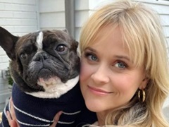 47歳のオスカー女優、20歳年上のオスカー俳優と交際のうわさ 正式コメントも世間はますますヒートアップ(ねとらぼ)