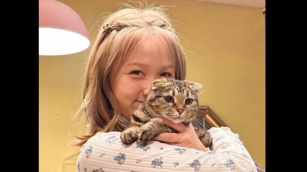 Dream Ami愛猫の誕生日を祝い写真を投稿　夫や息子とのショットも「みんな仲良く家族の歴史を刻んでいこうね」(めざましmedia)
