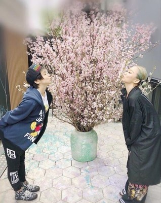 批判の的・misono、姉・倖田來未も負けじと炎上中 原因は妹と夫？（リアルライブ）