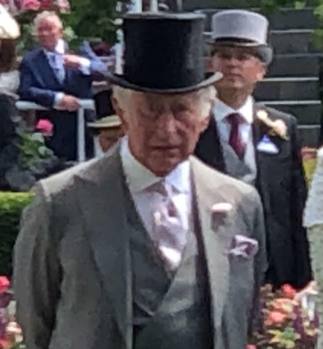 チャールズ国王、ヘンリー王子と会わずベッカム氏と会談「王子には顔面を平手されたようなもの」(日刊スポーツ)