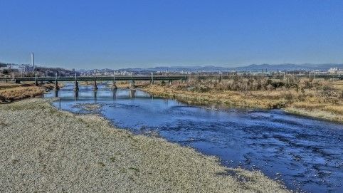 結婚わずか数年で夫は召集。弟は鹿児島湾で戦死…戦時下で弁護士活動が困難になった『虎に翼』寅子モデル・嘉子が選んだ道とは(婦人公論.jp)