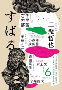 出来が悪いと思いつつ妙に面白い。完成度だけが尺度ではない（レビュー）(Book Bang)