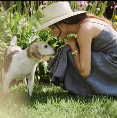愛犬家（？）のメーガン妃、レスキュードッグの死を報告　追悼動画でアーチー王子とリリベット王女を披露(ELLE DIGITAL)
